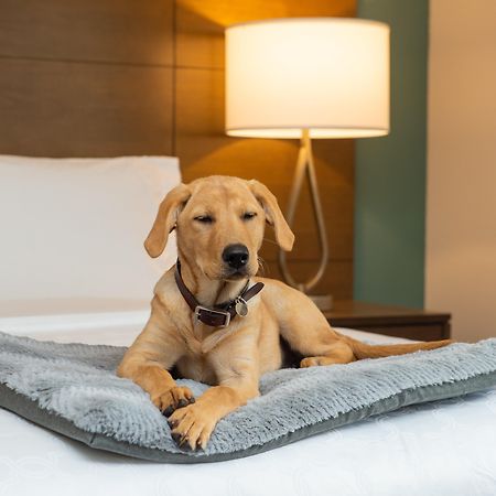 Staybridge Suites - Hillsboro North By Ihg Екстер'єр фото