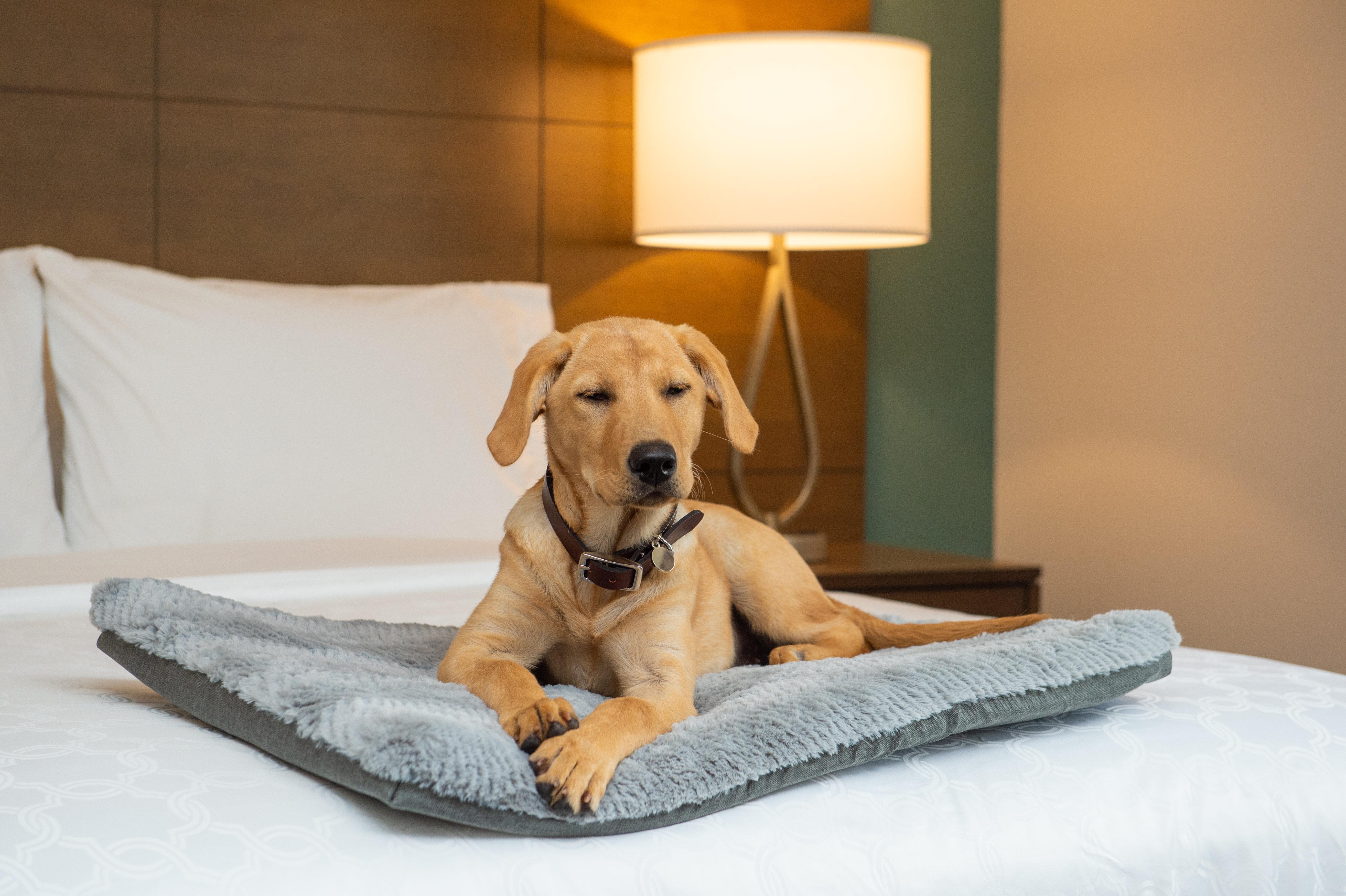 Staybridge Suites - Hillsboro North By Ihg Екстер'єр фото